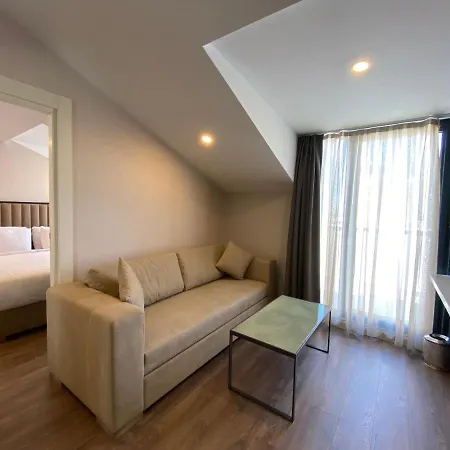 Livinton Atasehir 호텔 *